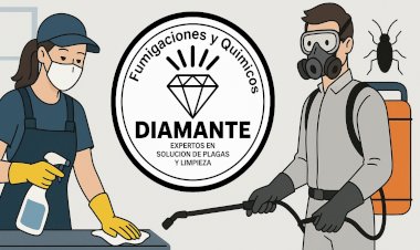 ¿Por qué es importante una fumigación profesional antes de la temporada de lluvias en Monterrey?